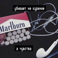 Шама Жулик