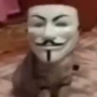 Вячеслав Насочков