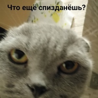Кирилл Филипов