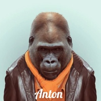 Anton Gaigis