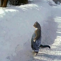 Валера Гордеев