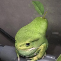 Виталий Трипонов