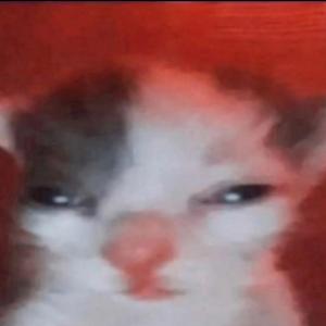 mistor_baby