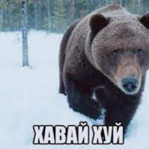 хавайХуй