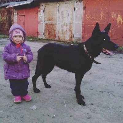 Николай Кошкин