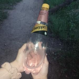 Skinuha